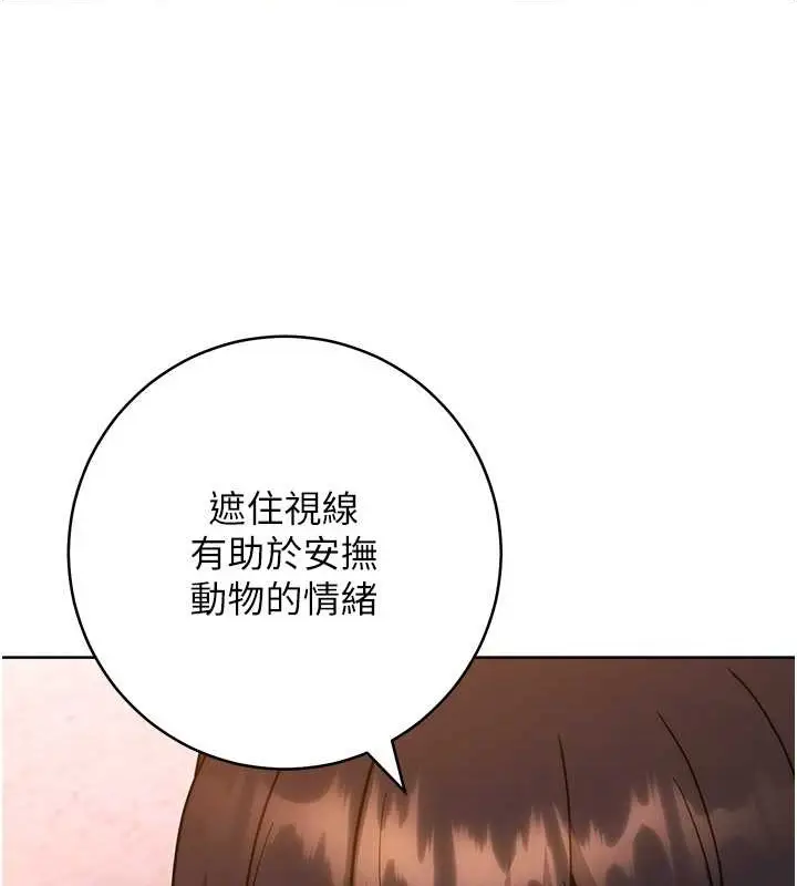《练爱选择题》第41话图82