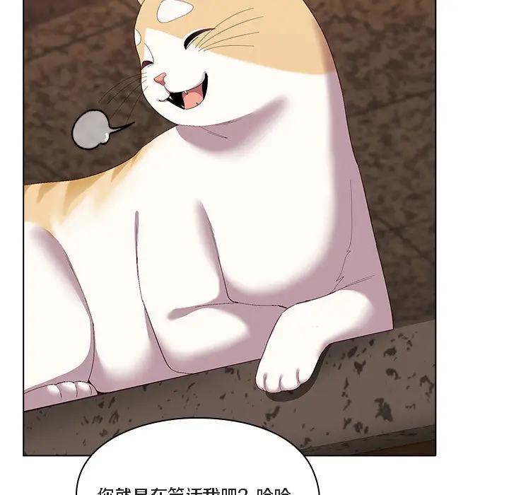 《猫猫牵红线》第1话图107