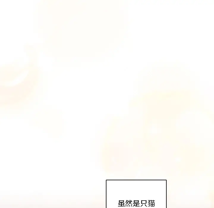 《猫猫牵红线》第1话图121