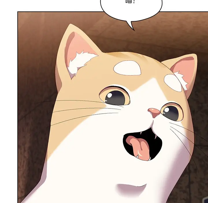 《猫猫牵红线》第1话图176