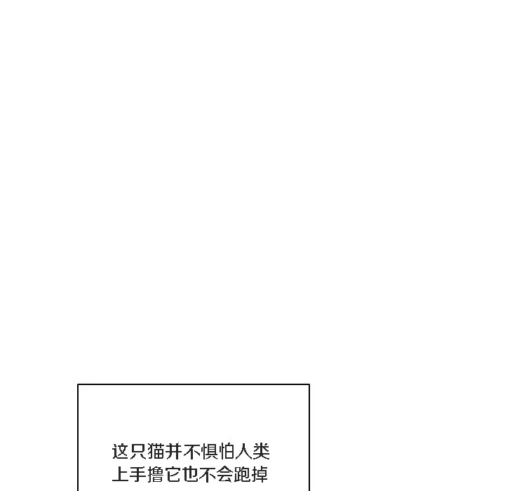 《猫猫牵红线》第1话图81