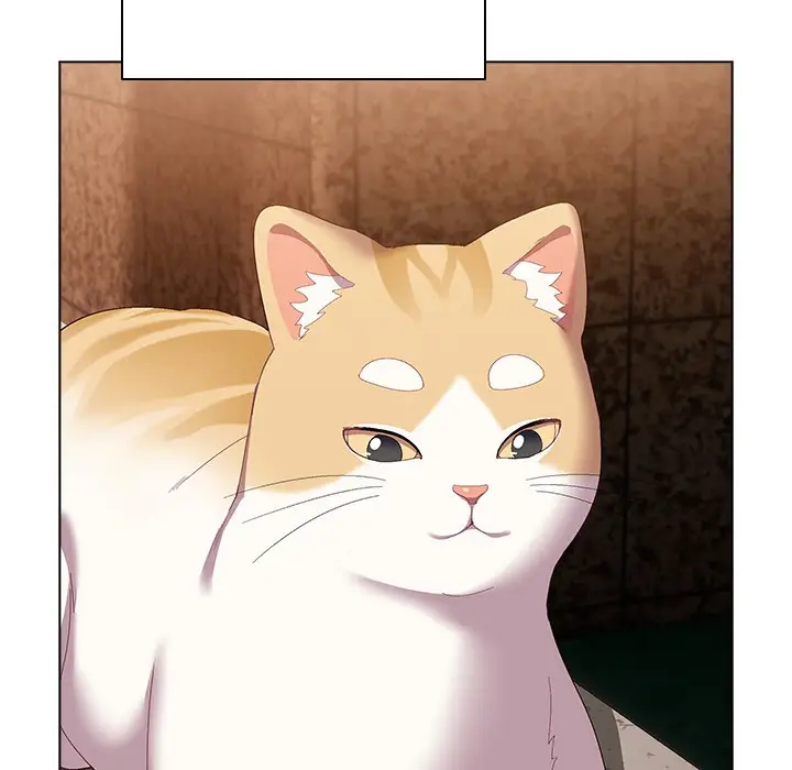 《猫猫牵红线》第1话图82