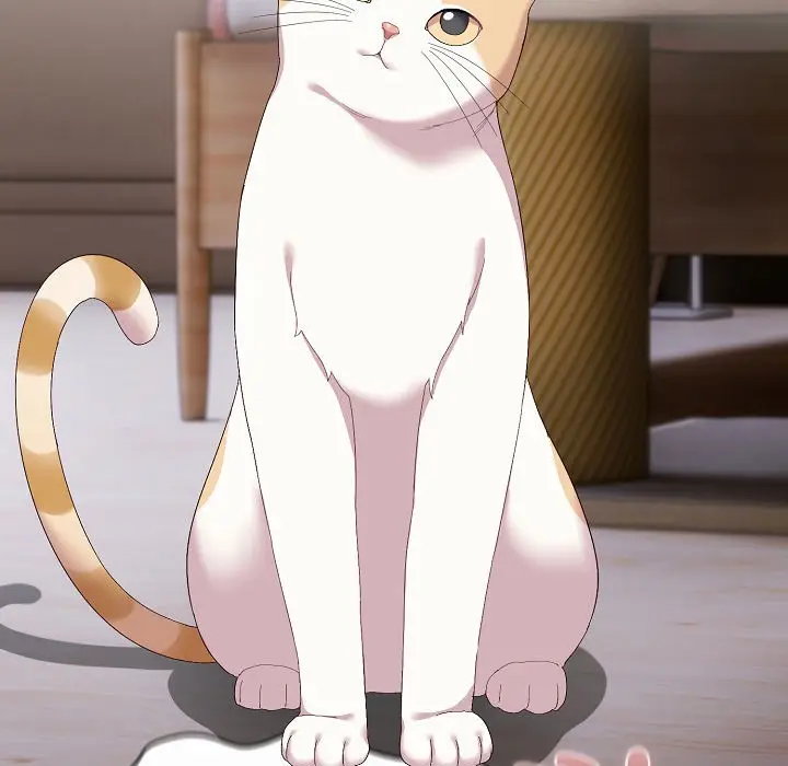 《猫猫牵红线》第2话图207