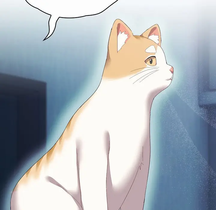 《猫猫牵红线》第2话图70