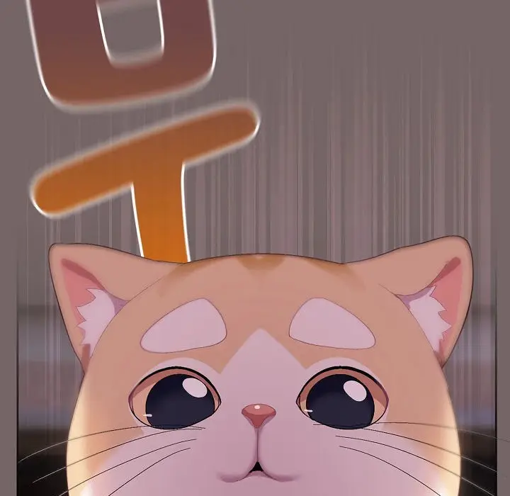 《猫猫牵红线》第3话图155