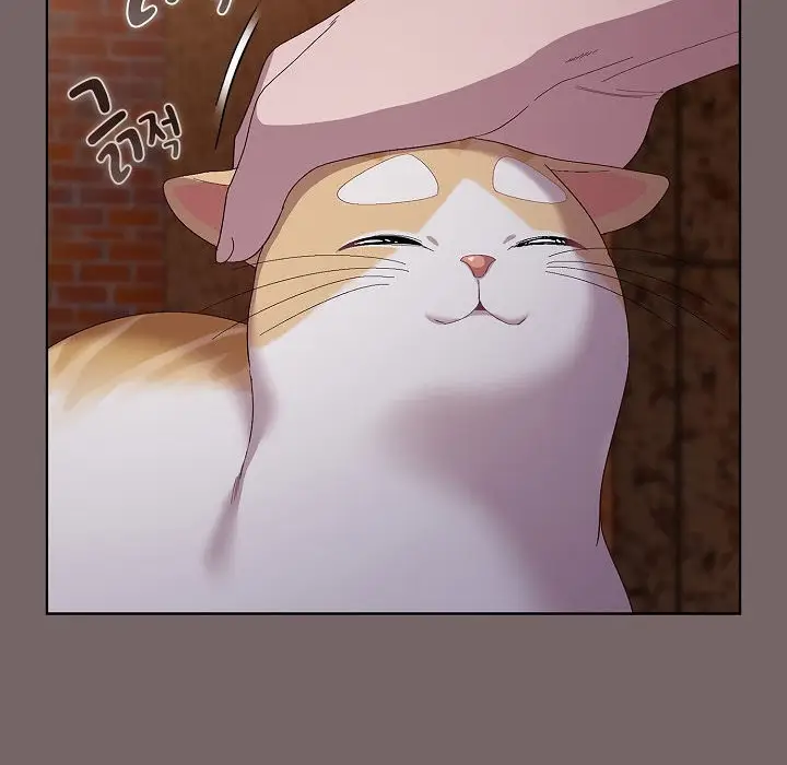 《猫猫牵红线》第3话图88