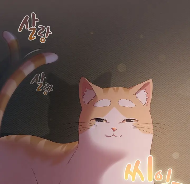 《猫猫牵红线》第7话图7
