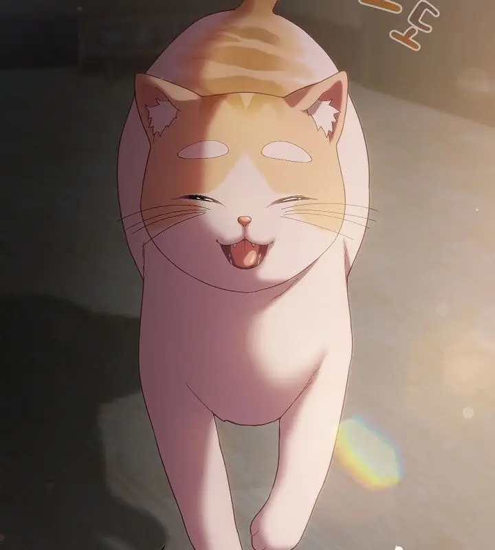《猫猫牵红线》第9话图165