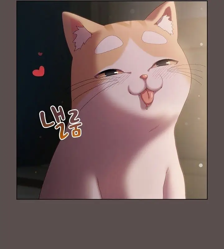 《猫猫牵红线》第9话图176