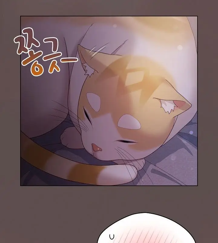 《猫猫牵红线》第10话图116