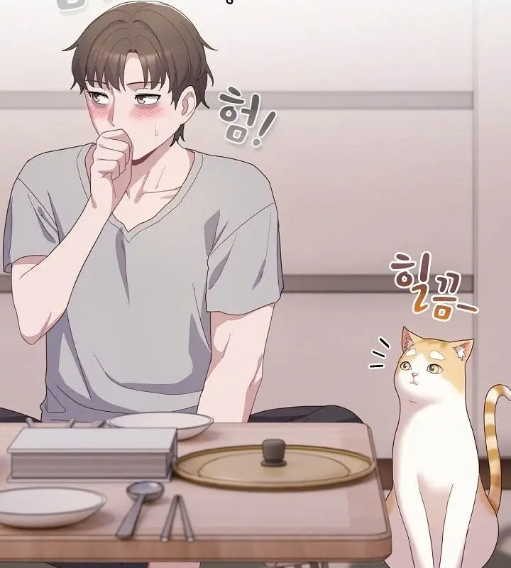 《猫猫牵红线》第10话图139