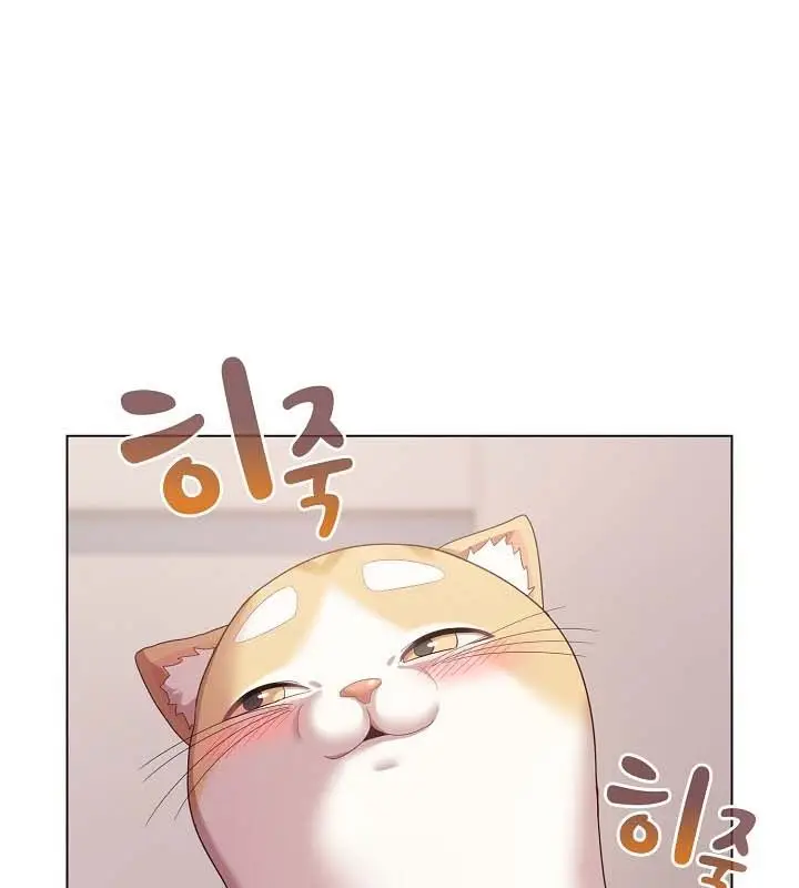 《猫猫牵红线》第10话图141