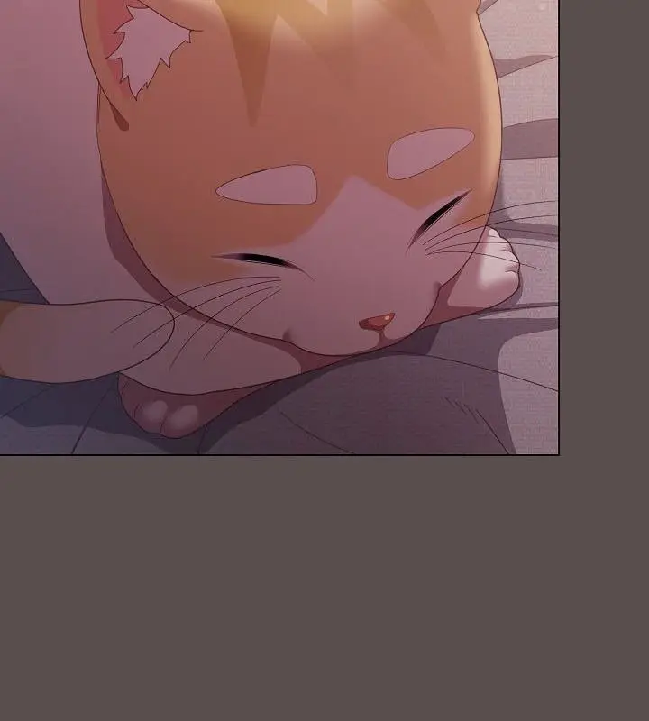 《猫猫牵红线》第10话图6