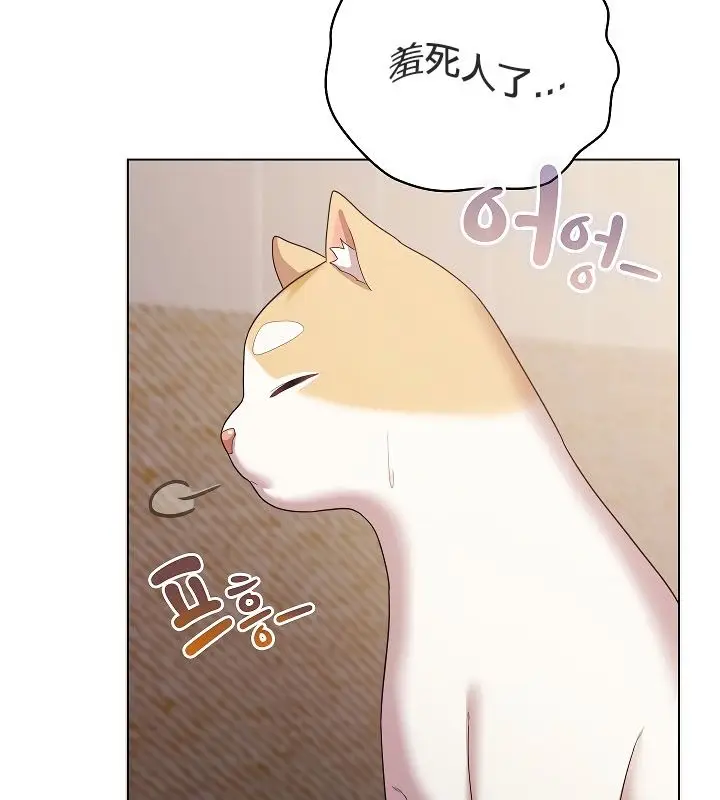 《猫猫牵红线》第11话图114