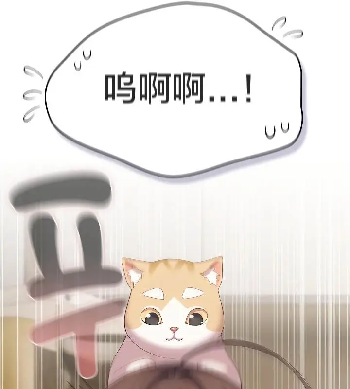 《猫猫牵红线》第11话图20