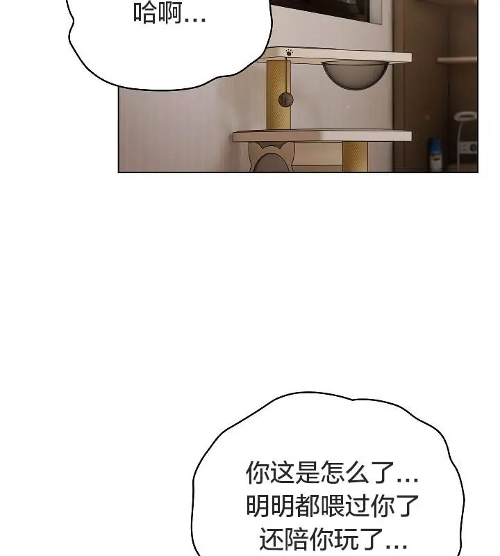 《猫猫牵红线》第11话图24