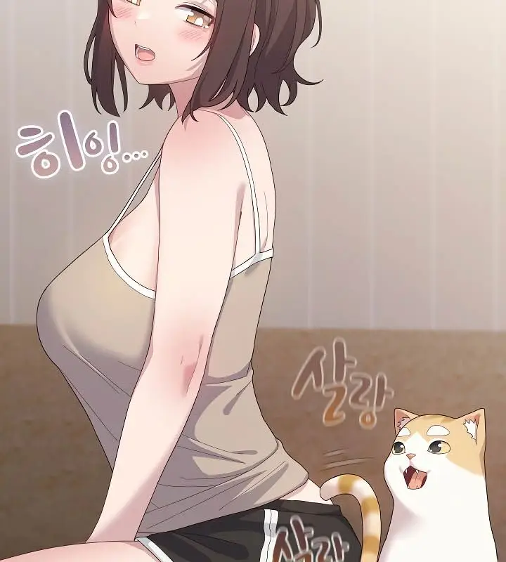 《猫猫牵红线》第11话图26