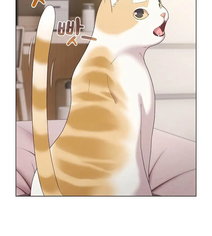 《猫猫牵红线》第11话图29