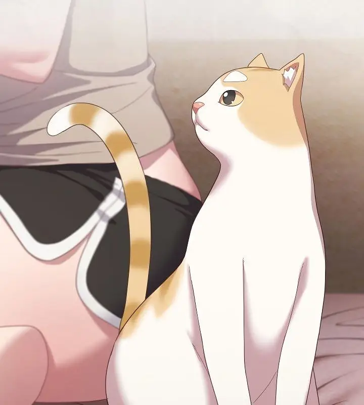 《猫猫牵红线》第11话图87