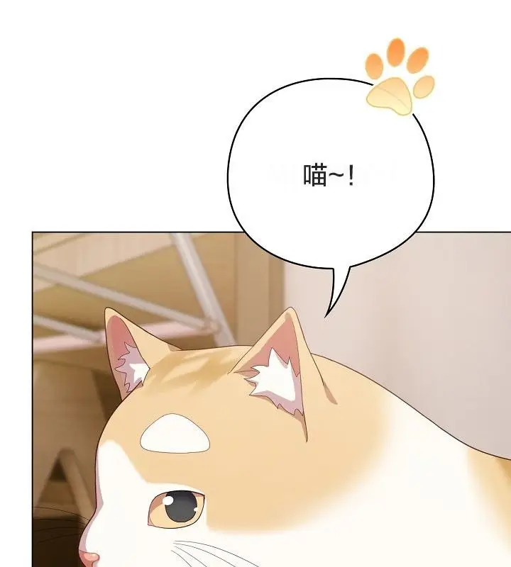 《猫猫牵红线》第12话图152