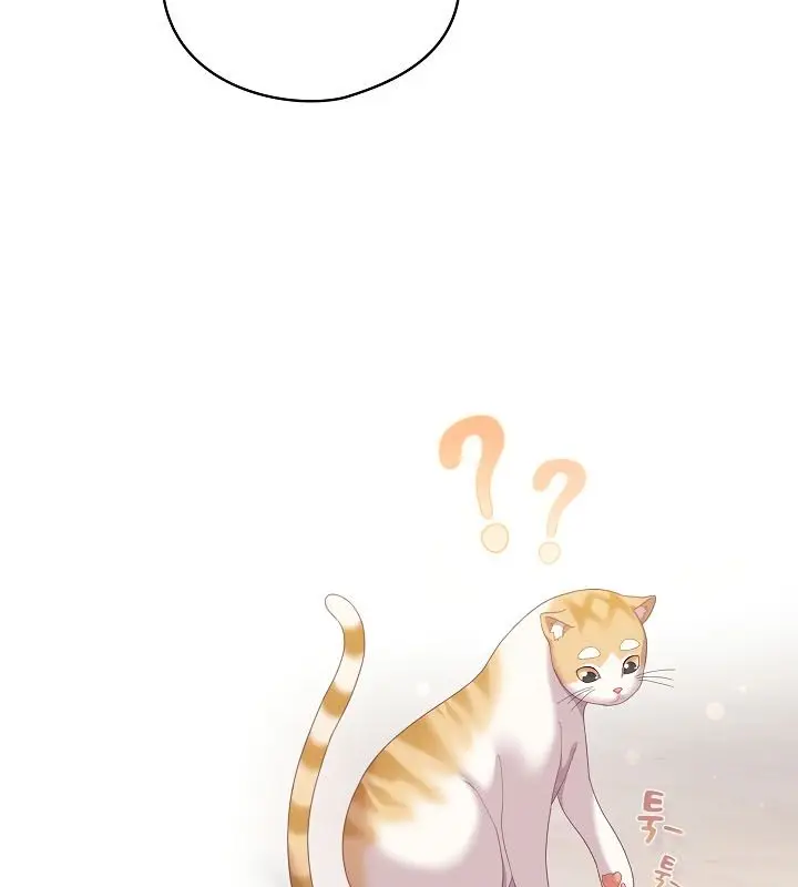 《猫猫牵红线》第13话图100