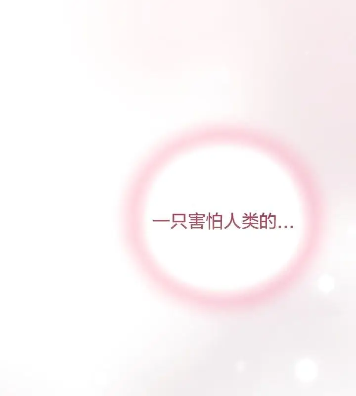 《猫猫牵红线》第13话图13