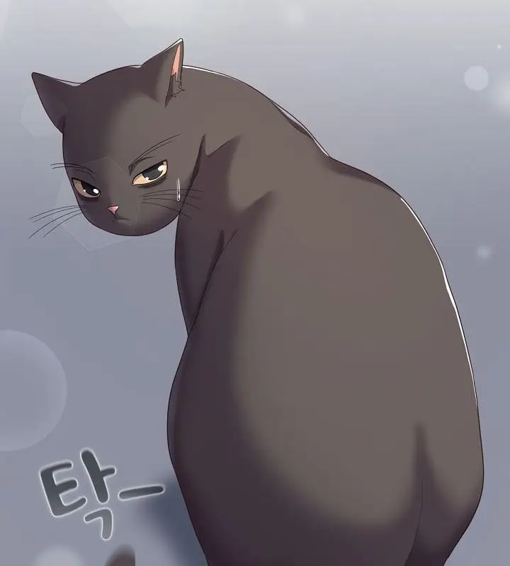 《猫猫牵红线》第13话图15