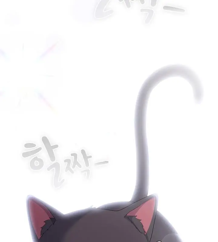 《猫猫牵红线》第14话图67