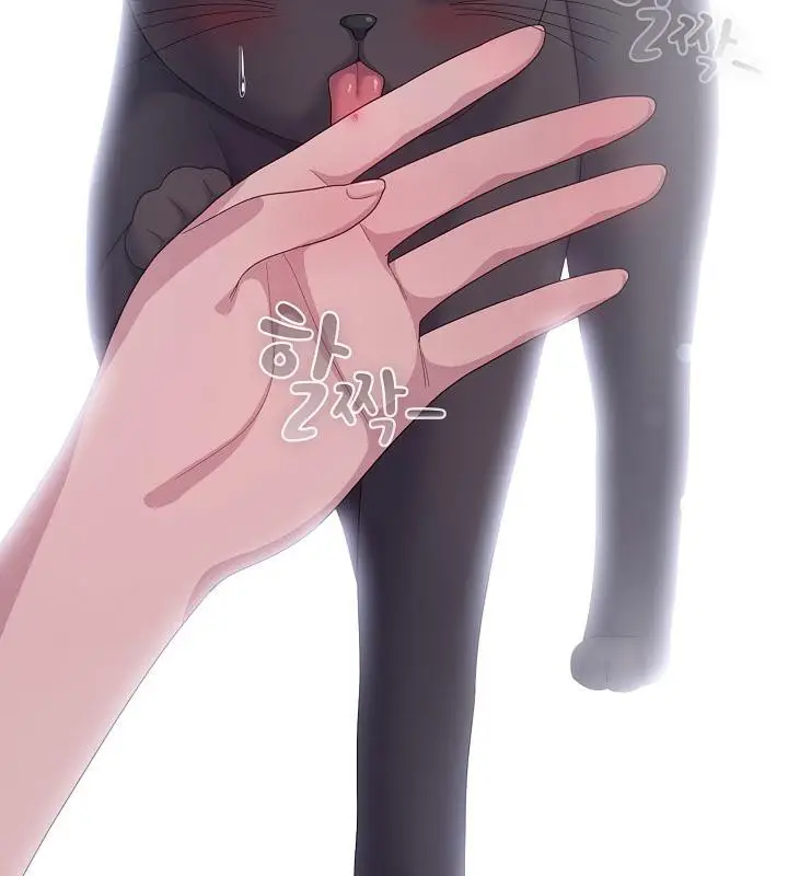 《猫猫牵红线》第14话图69