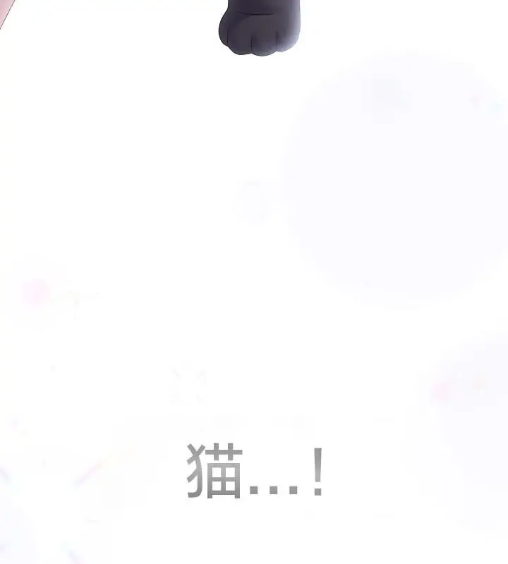 《猫猫牵红线》第14话图70