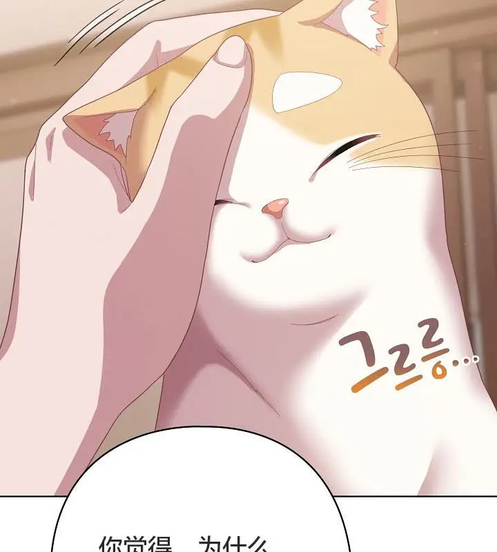 《猫猫牵红线》第18话图129