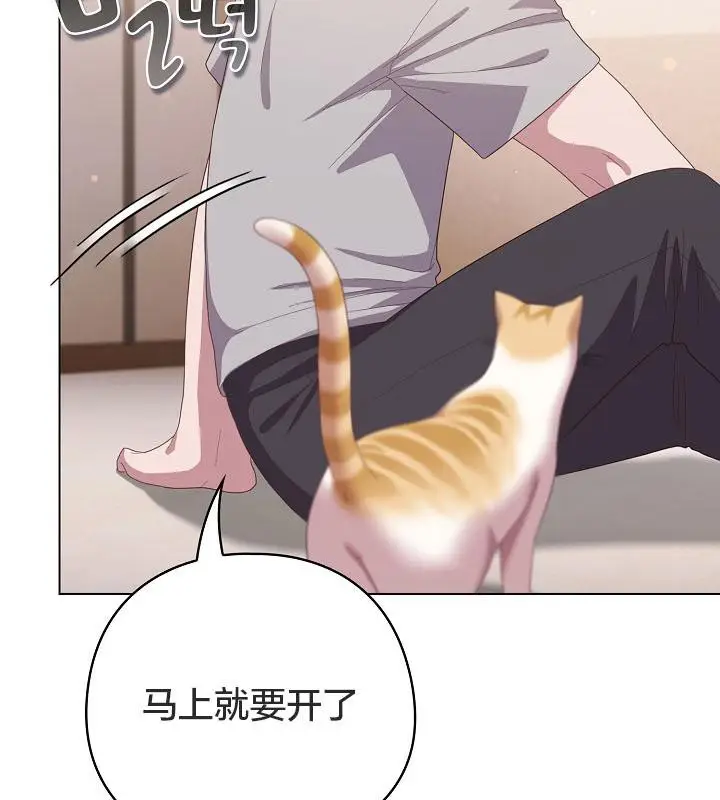 《猫猫牵红线》第18话图137