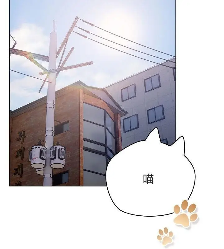 《猫猫牵红线》第18话图4