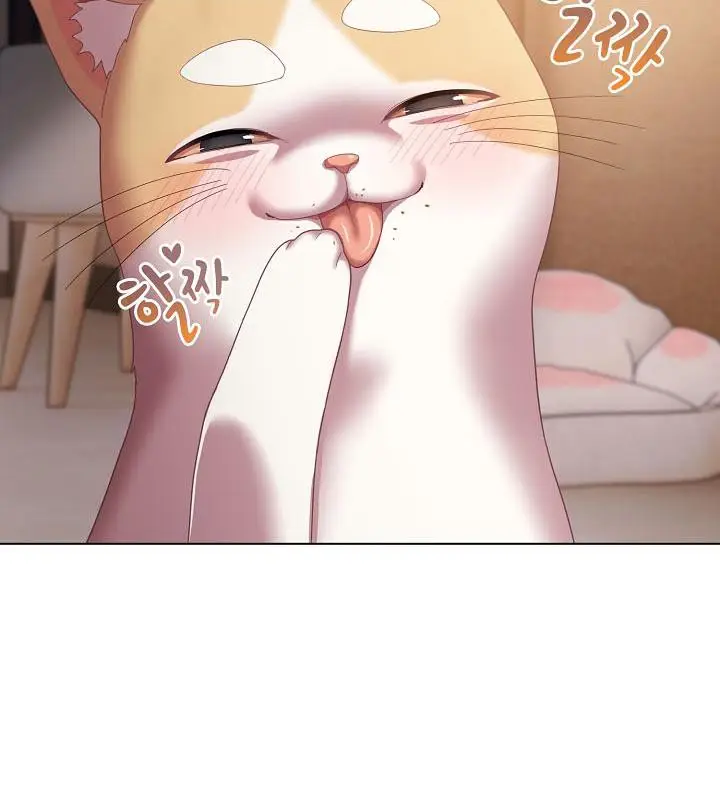 《猫猫牵红线》第18话图67