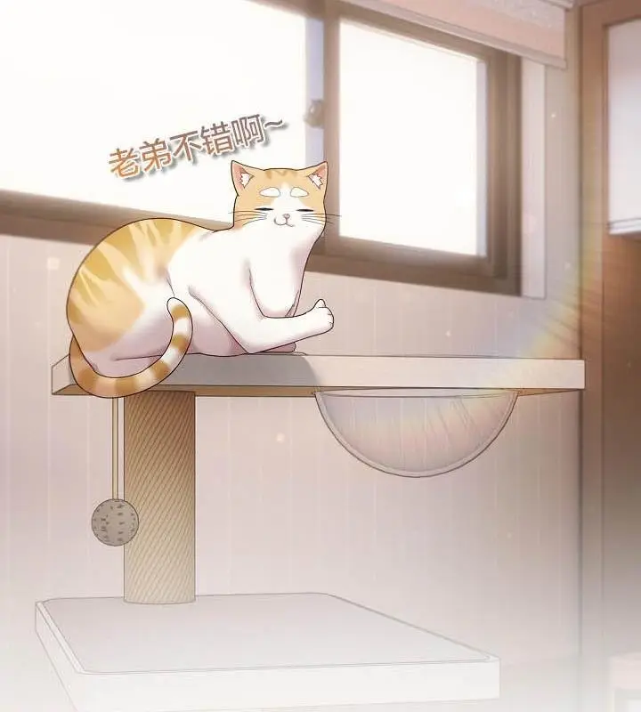 《猫猫牵红线》第18话图89