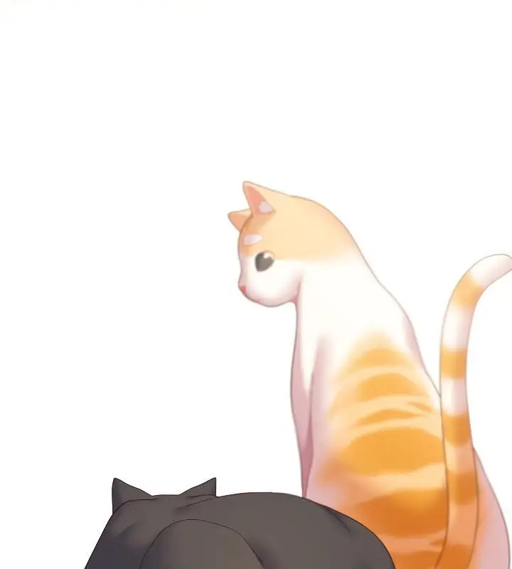 《猫猫牵红线》第19话图73