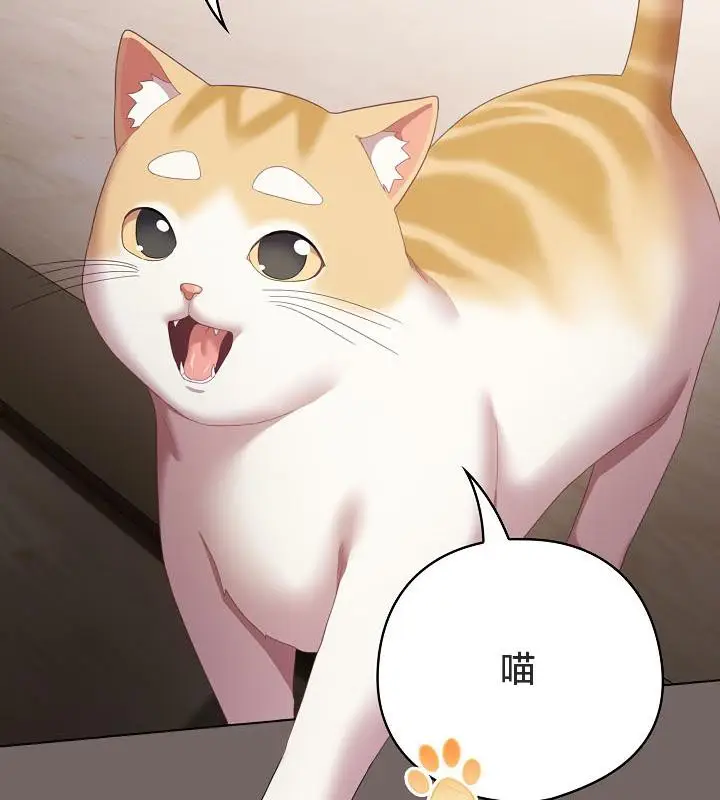 《猫猫牵红线》第20话图160
