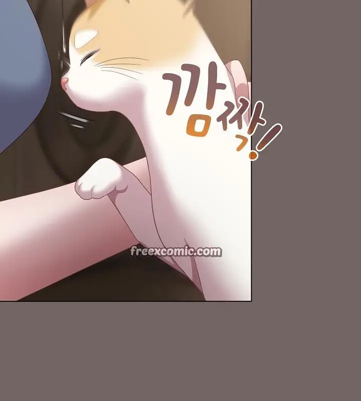 《猫猫牵红线》第20话图165
