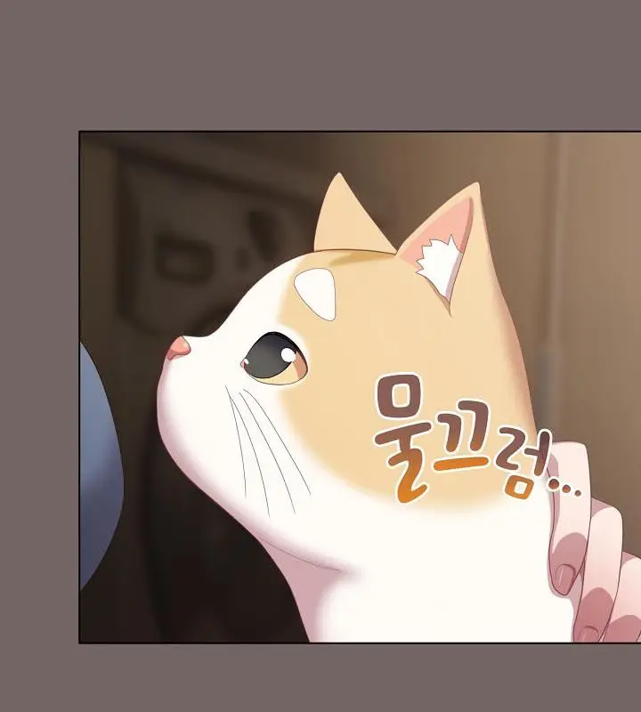 《猫猫牵红线》第20话图166