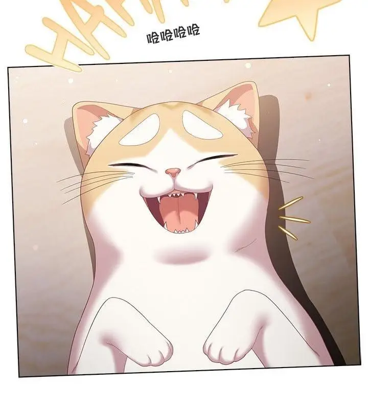 《猫猫牵红线》第24话图4