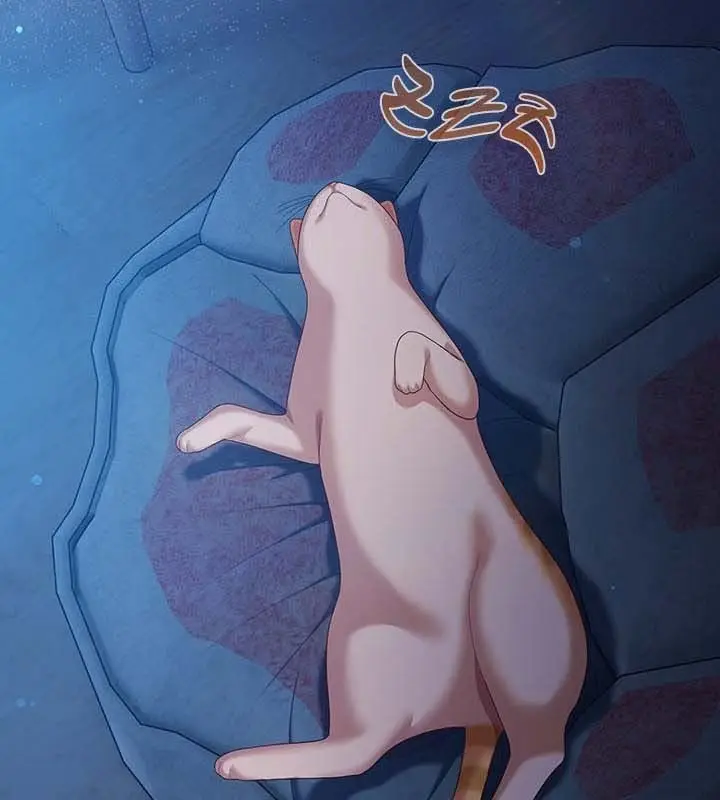 《猫猫牵红线》第27话图4
