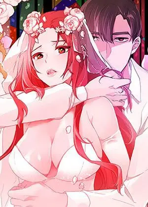 《灰姑娘的哥哥们》封面