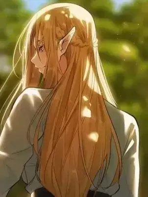 《这个世界的后宫骑士/ThisWorld’sHaremKnight》封面