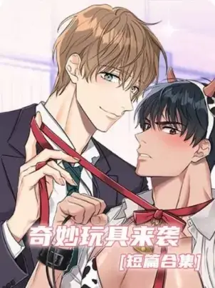 《奇妙玩具来袭完结》封面