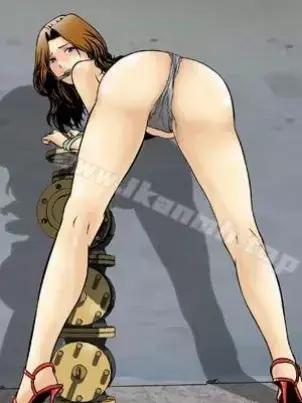 《猪圈》封面