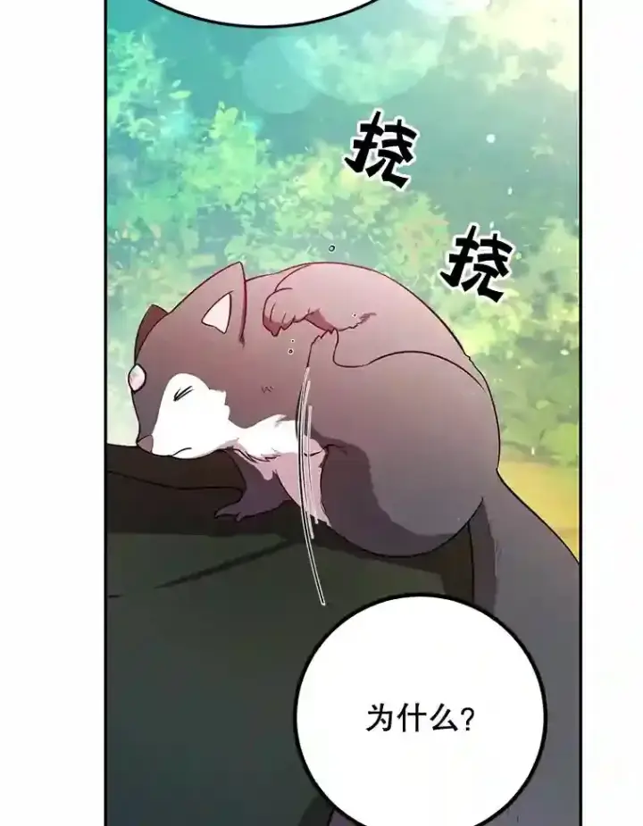 《10星级扭蛋玩家》15.获得史诗级宠物图104