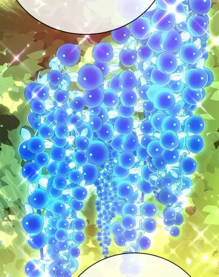 《10星级扭蛋玩家》42.精灵村庄任务大作战图57