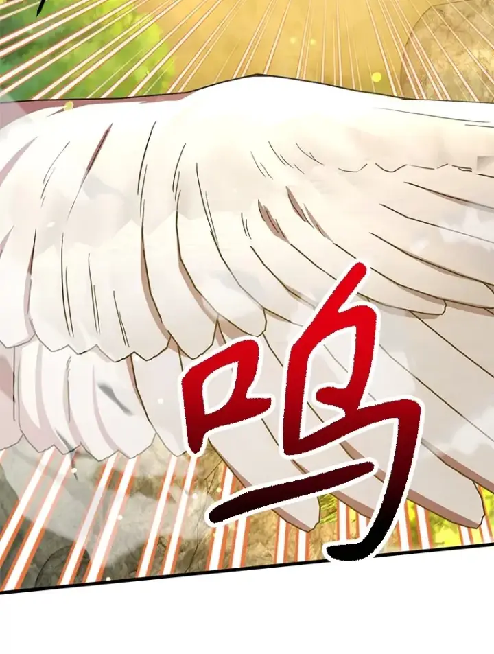 《10星级扭蛋玩家》56.哈琵女王图13