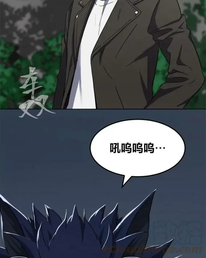 《1等级玩家》38.狼人图29