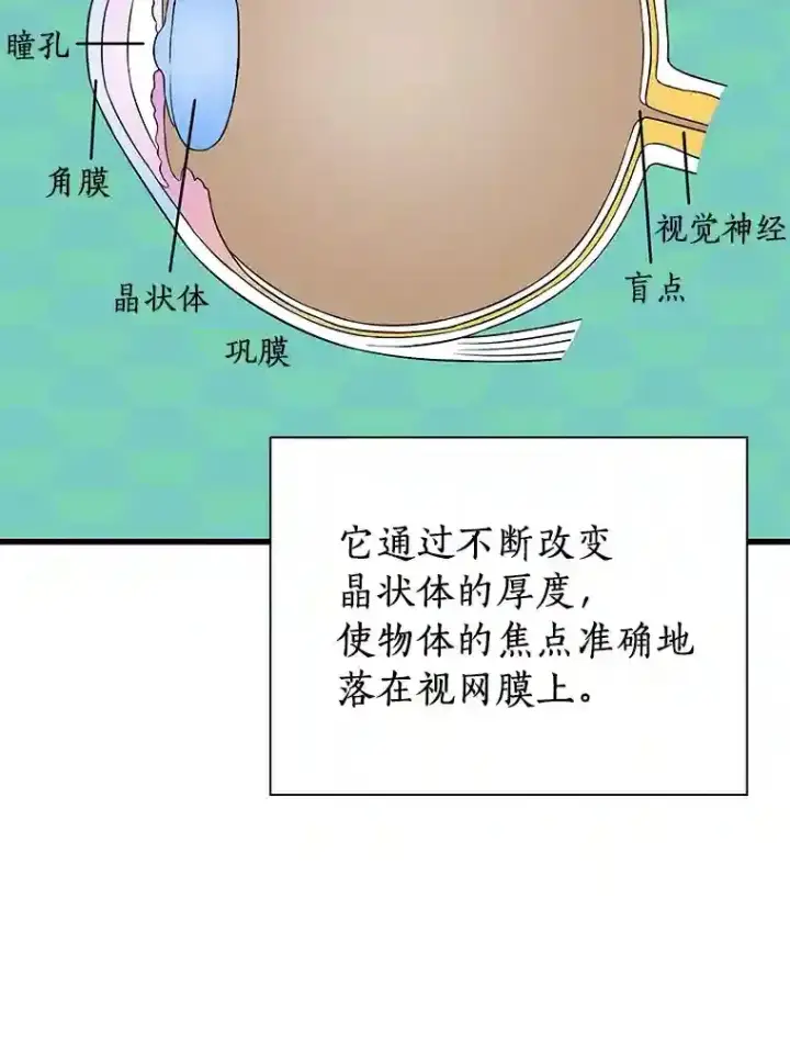 《AI神医的诞生》6.了解人类图85